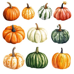 A high-quality watercolor illustration of a pumpkin, with fine brush details, painting set in watercolor style, plant set, EPS format, hand-drawn and isolated on a white background