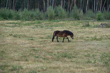 Region Teutoburger Wald