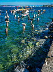 Ruston Shoreline Pilings