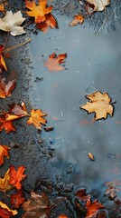 autumn leaves on wet asphalt.