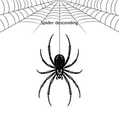 A Graphic Illustration of a Spider Descending from Its Web an Eerie and Captivating Composition of Arachnid Art