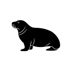 Silhouette of a seal on a white backdrop on transparent background