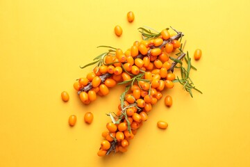 Branches with ripe sea buckthorn berries and leaves on yellow background, flat lay