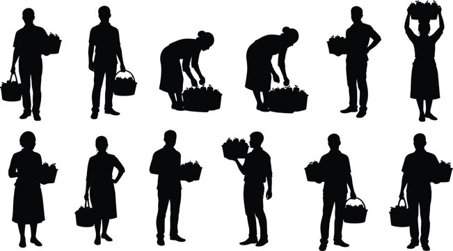 Silhouettes of people carrying and picking fresh fruits and vegetables from baskets, representing harvesting and healthy eating