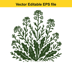 Illustration of a green flowering plant