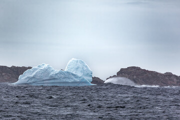 Iceberg
