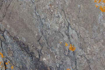 Textured rock surface covered with lichen in natural setting