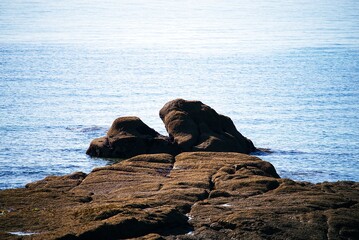Rochers en bord de mer .