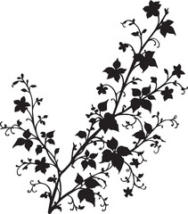 Black silhouette of ivy with leaves. vector Illustration of a black silhouette of an ivy flower with leaves on a white background