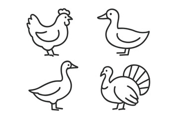 Outline drawing of farm birds: chicken, duck, goose, and turkey