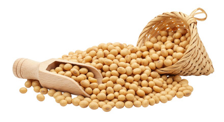 Isolated soybeans spilling from basket with wooden scoop, healthy dried legumes