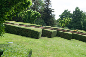 stone path in the garden