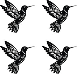 Vector detailed black and white silhouettes of hummingbirds in flight illustration. 