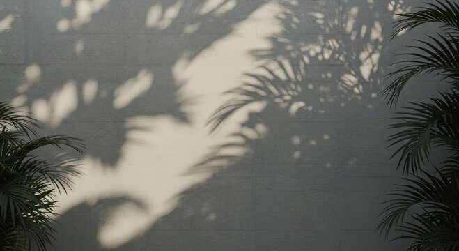 Bare Concrete Wall with Muted Sunlight and Abstract Palm Shadow Geometry