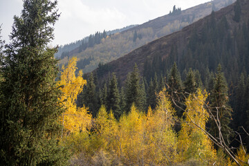 Autumn in the mountains of Kaskelen, Kazakhstan