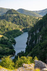 Fototapeta premium A calm river flowing through densely forested mountains on a sunny summer day.