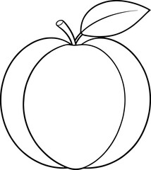 Simple outline sketch of apricot with stem and leaf minimal fruit line art for coloring page or creative design