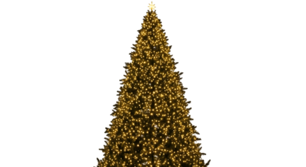A majestic christmas tree, adorned with twinkling golden lights, stands tall against an isolated on transparent background, its symmetrical form and radiant glow creating a captivating spectacle of ho