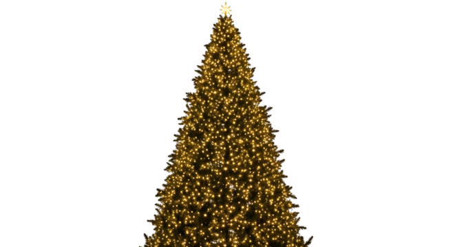 A majestic christmas tree, adorned with twinkling golden lights, stands tall against an isolated on transparent background, its symmetrical form and radiant glow creating a captivating spectacle of ho