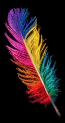 Obraz premium Vibrant rainbow feather against a stark black background.