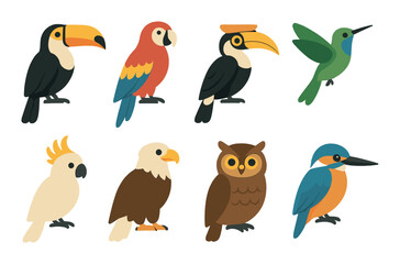 Naklejka premium Colorful cartoon birds: toucans, parrots, owl, hummingbird, cockatoo, kingfisher, eagle
