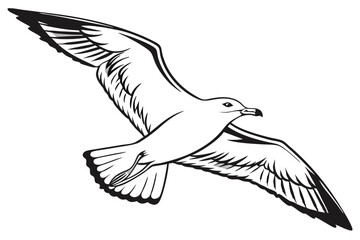 Flying Seagull Vector Illustration on White Background Minimalist Style