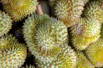 durian, a large pile of durian, fresh durians stacked together, durian tropical fruit market concept, seasonal produce, agriculture, and export product of asia