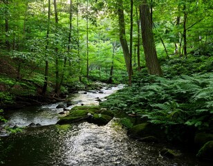 Obraz premium forest stream dense lush green foliage delaware water gap
