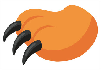 Orange animal paw with sharp black claws on white background orange paw sharp claws