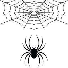 Obraz premium A Classic Halloween Image A Hanging Spider Dangling Suspended From Its Web A Spooky and Simple Black and White Design