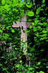 Crucifix on grave at an abandoned Dieweg cemetery overtaken by nature in Brussels, Belgium, sunny day