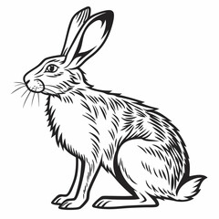 Hare Drawing Images Vector. Black and white Hare image vector isolated on white background.