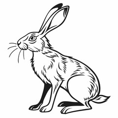 Hare Drawing Images Vector. Black and white Hare image vector isolated on white background.