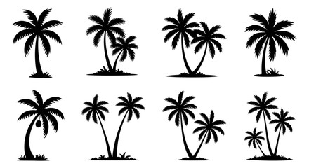 Fototapeta premium Palm Tree Silhouette Set Collection Vector Illustration