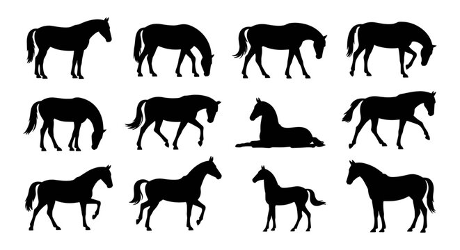 Horse Silhouette Set Collection Vector Illustration