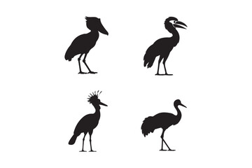 Four silhouette bird poses on white background