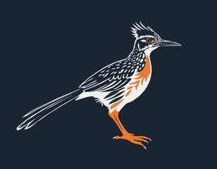 Roadrunner vector illustration. Roadrunner silhouette vector illustration