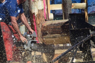 Le b&ucirc;cheron au travail avec la tron&ccedil;onneuse