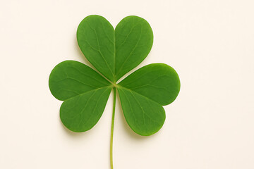 four leaf clover