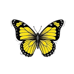 Fototapeta premium Yellow and black butterfly illustration on white background