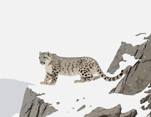 Snow leopard on the cliff stock image vector isolated on white background.