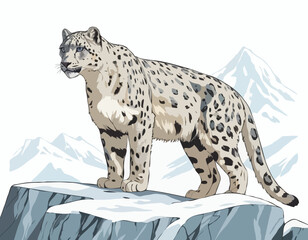 Snow leopard on the cliff stock image vector isolated on white background.
