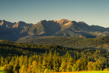 Panoramic view of the Tatra Mountains from Lapszanka during golden hour – majestic peaks, spruce forests, and clear skies in the heart of Polish nature