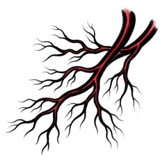 Obraz premium Stylized Red and Black Branching Organic Network Illustration