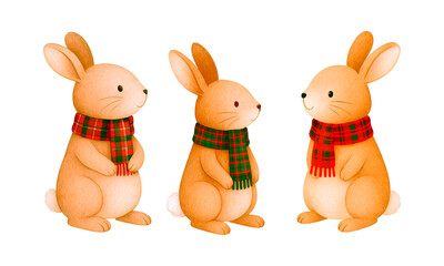 Fototapeta premium Cute Watercolor Christmas Bunnies – Holiday Woodland Rabbits with Scarves Clipart