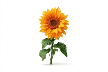 Obraz premium Sunflower's Sunny Serenity: A vibrant and captivating sunflower in full bloom, basking in the sun's gentle touch. A symbol of joy and positivity, presenting the beauty of nature in its finest form.