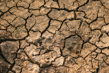 Close-up of parched, cracked earth in India, showcasing the severe texture of dry soil. This environmental issue reflects drought conditions.