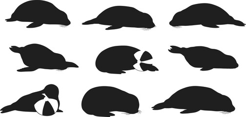 Collection of adorable seal silhouettes in various poses, playful marine animal vector illustration set for wildlife, ocean, nature, zoo, and aquatic design