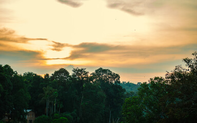Dense green tropical forest canopy with silhouetted treetops against a vibrant, cloudy golden sunset sky in Dandeli, India.