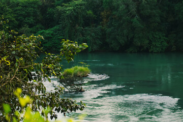 Lush green foliage frames the vibrant Kali River in Dandeli, India, flowing through a serene, dense...